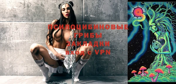 ГАЛЛЮЦИНОГЕННЫЕ ГРИБЫ Нея