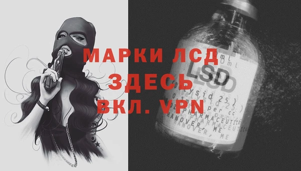 ГАЛЛЮЦИНОГЕННЫЕ ГРИБЫ Нея