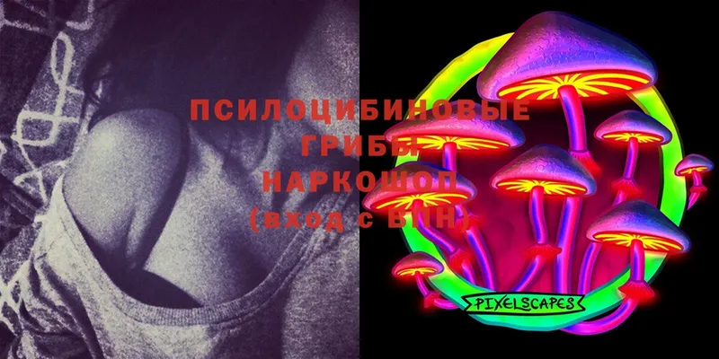 Галлюциногенные грибы Magic Shrooms  Сертолово 