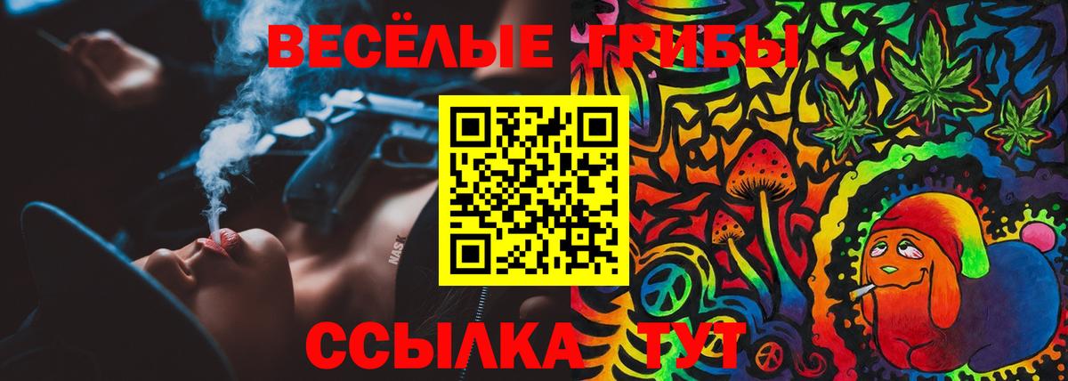 Галлюциногенные грибы Magic Shrooms  Вход с VPN  Псилоцибиновые грибы Psilocybe  Сертолово 