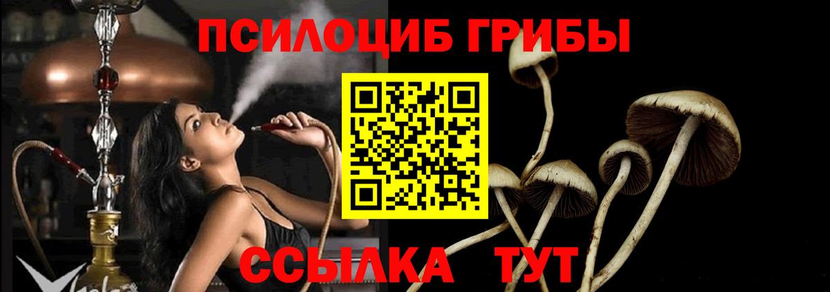 наркота  Сертолово  Галлюциногенные грибы Magic Shrooms 
