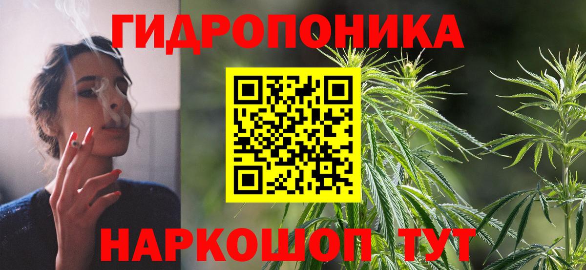 Каннабис Amnesia Сертолово